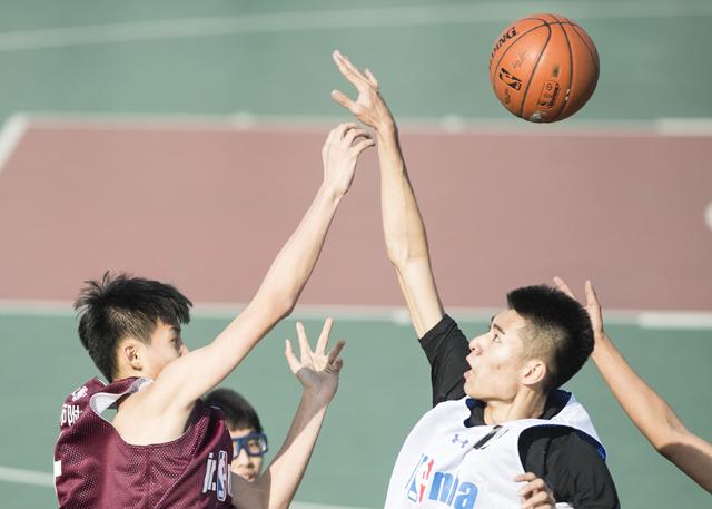 国产欧美一区视频在线观看