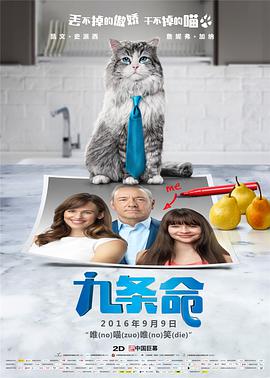 国产69精品久久久久妇女