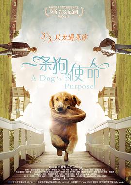 **网站