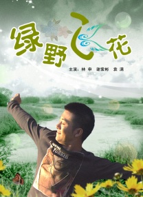 天天视频在线观看免费完整