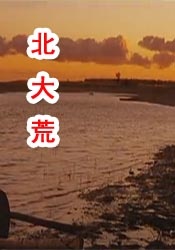 青娱乐日本