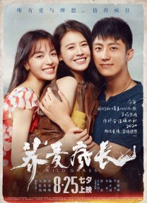 女友的朋友
