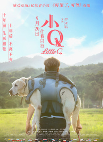 亚洲日韩aⅴ在线视频
