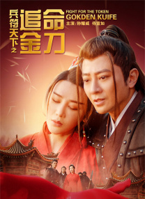 一仆二主电视剧免费观看