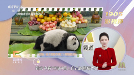 她的隐秘香气